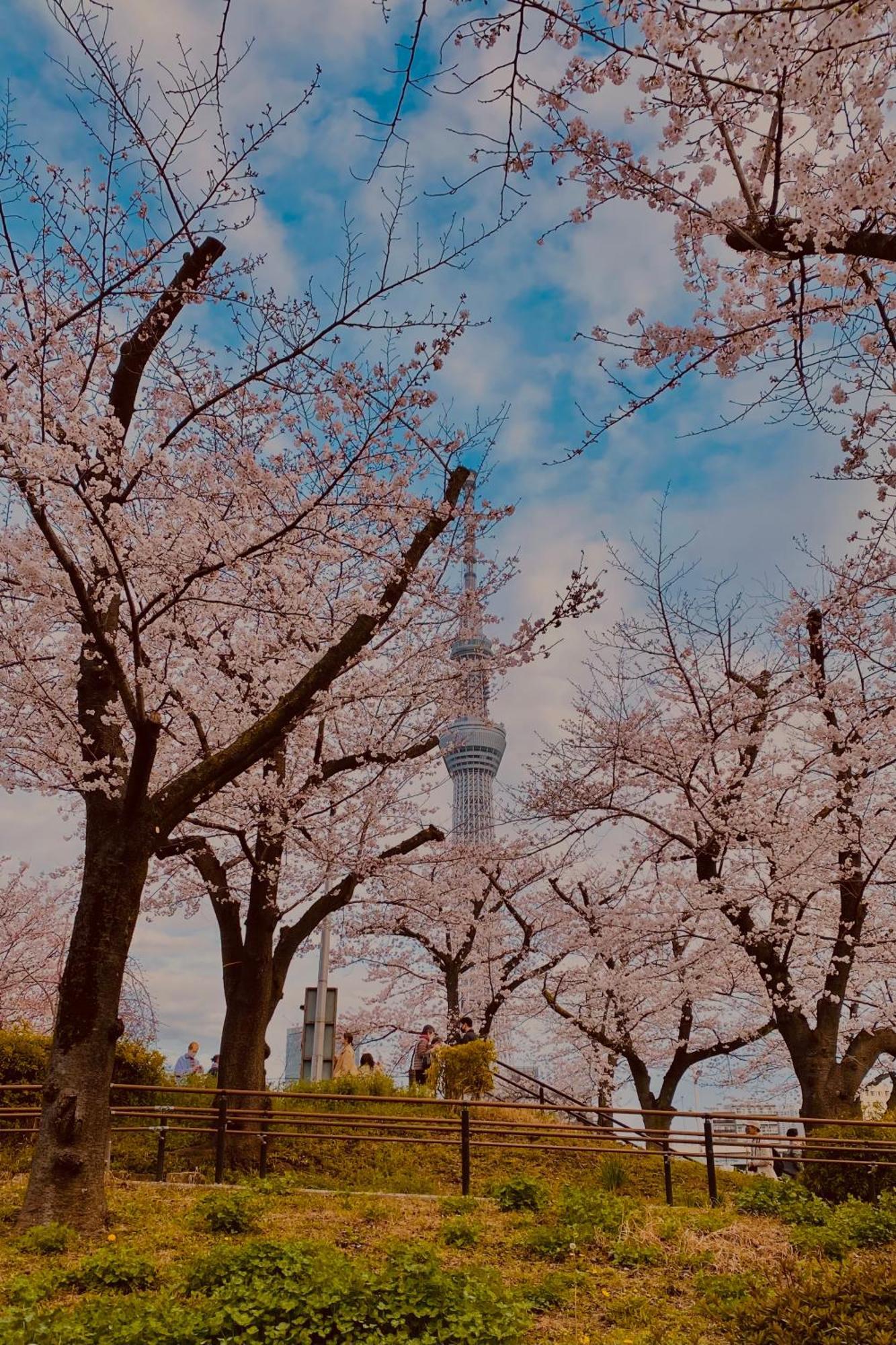 Toe Library Tokyo Asakusa المظهر الخارجي الصورة
